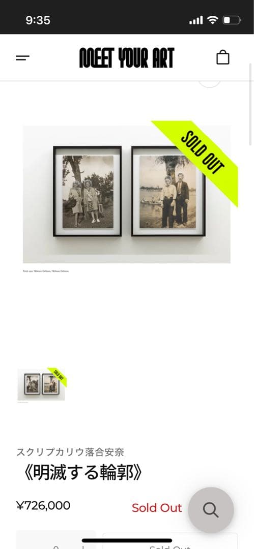 スクリプカリウ落合安奈 作品 （検 村上隆 草間彌生 南谷理加 ロッカクアヤコ