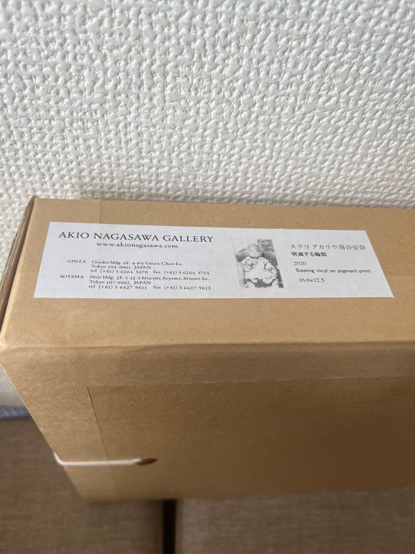 スクリプカリウ落合安奈 作品 （検 村上隆 草間彌生 南谷理加 ロッカクアヤコ