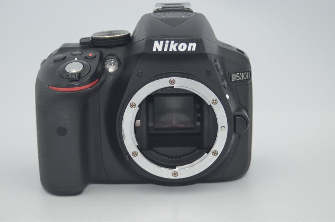 Nikon D5300 Wズームキット