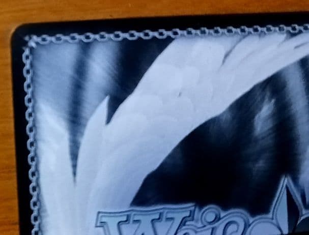 ヴァイスシュヴァルツ　土佐　SP