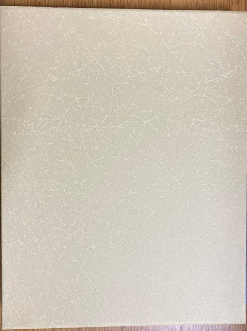 さようなら帝都高速度交通営団／全駅記念硬券乗車券