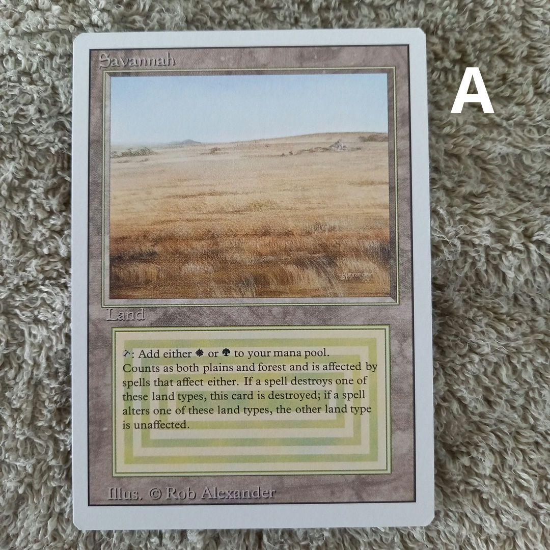 SAKI Savannah [3ED] 2枚セット
