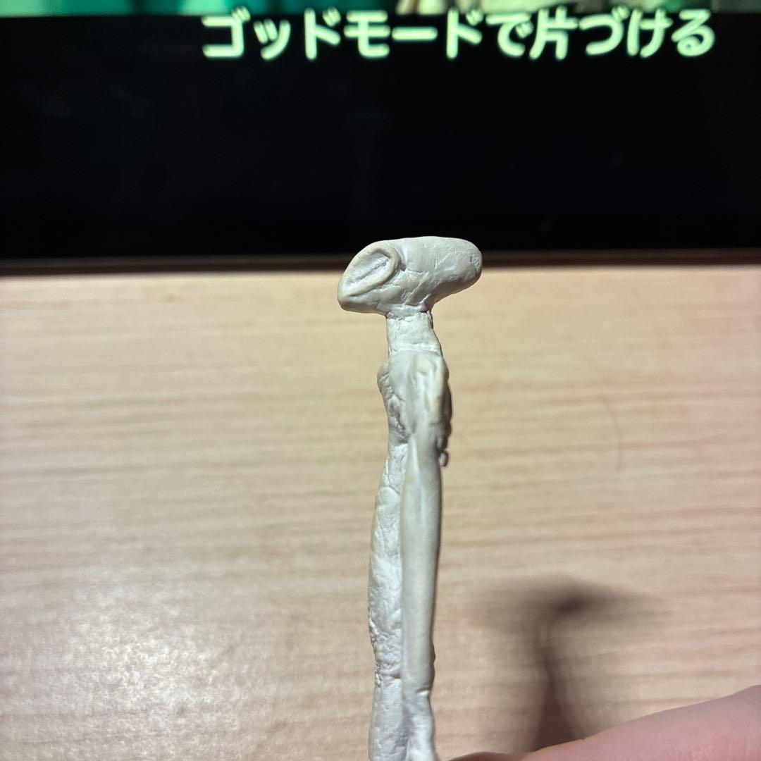自作宇宙人のミイラ