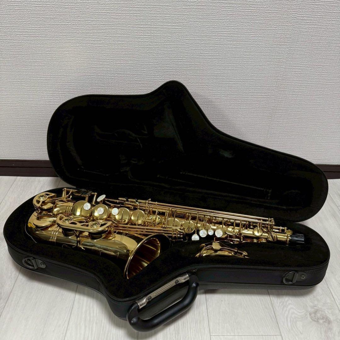 極美品 アンティグア　アルトサックス　ANTIGUA ALTO SAX 希少