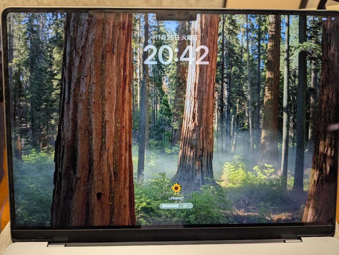 MacBook本体 Apple MacBook Pro m1 pro 16gb 512