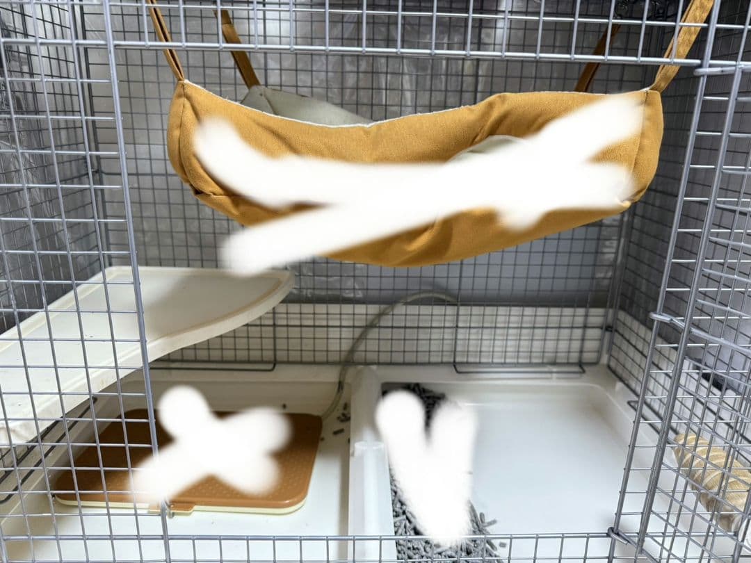 引き取り限定！三晃商会　イージーホーム　80cm