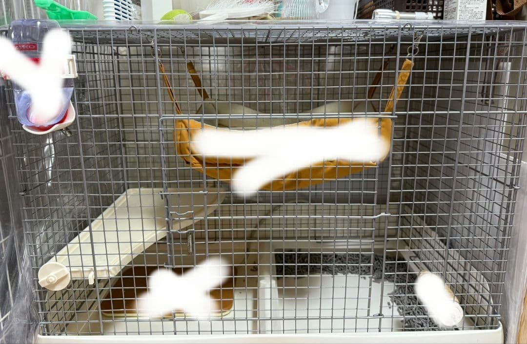 引き取り限定！三晃商会　イージーホーム　80cm