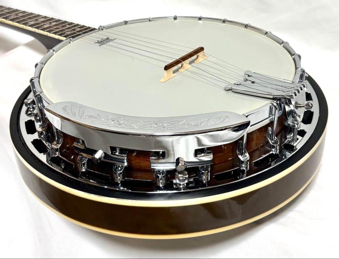 【美品、新品弦張替済】Aria 5弦バンジョー SB-40 ゴトーペグ