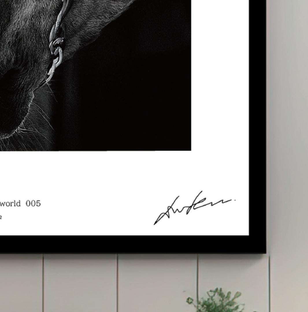 馬・No.005／「HAKU 」アートポスター　400×500