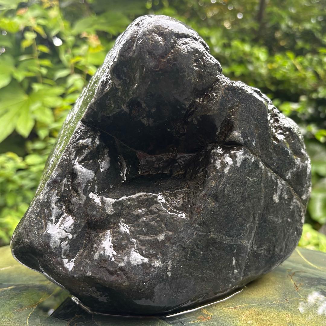 【再お値下げ】〈希少 八海山石 大型9kg〉アクアリウム 親石 ウブ石 ジャグレ