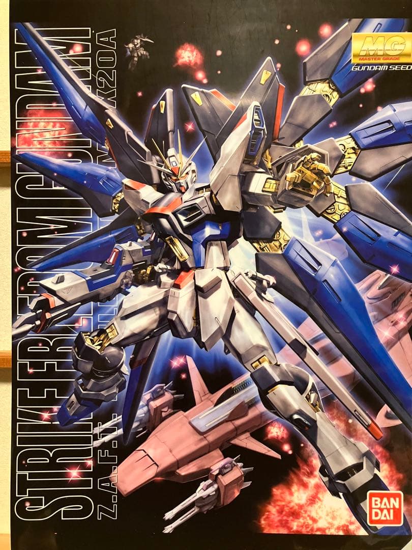 【激レア】MG ZGMF-X20A ストライクフリーダムガンダム クリアファイル