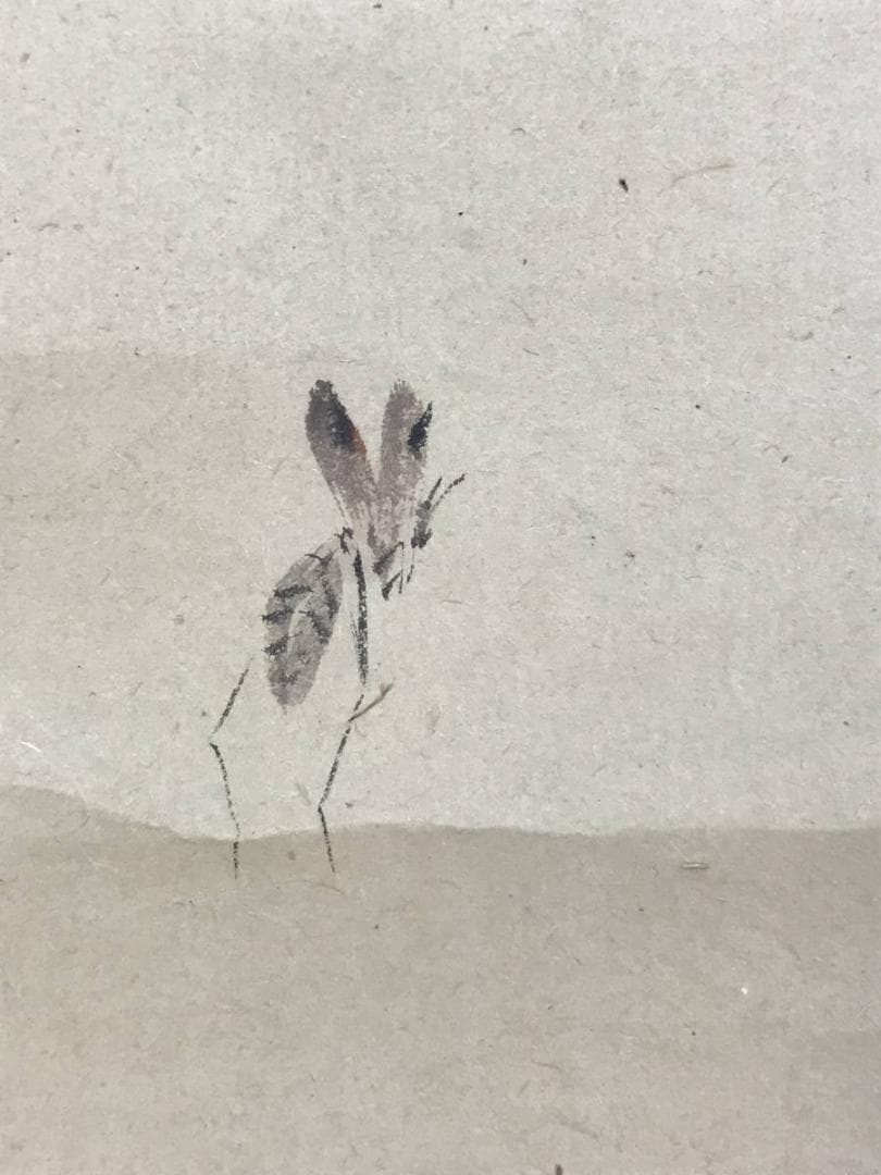 森寛斎/猿に蜂図/花鳥図/掛軸/名家伝来/AD-190