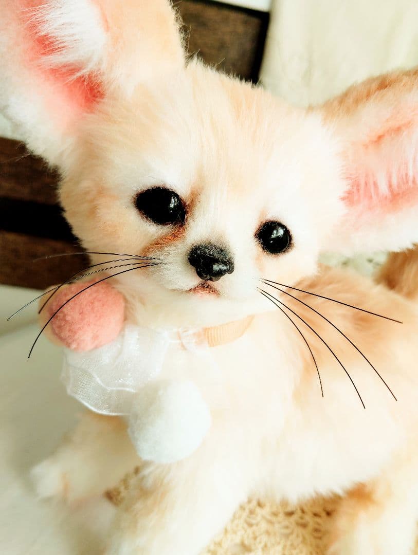 生後２ヶ月♡ベビーフェネックちゃん♡アートドール♡ぬいぐるみ♡