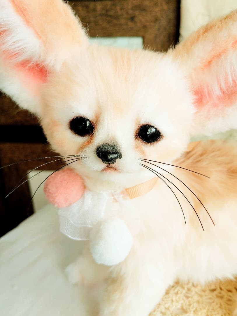 生後２ヶ月♡ベビーフェネックちゃん♡アートドール♡ぬいぐるみ♡