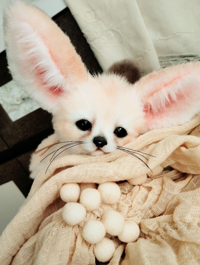 生後２ヶ月♡ベビーフェネックちゃん♡アートドール♡ぬいぐるみ♡