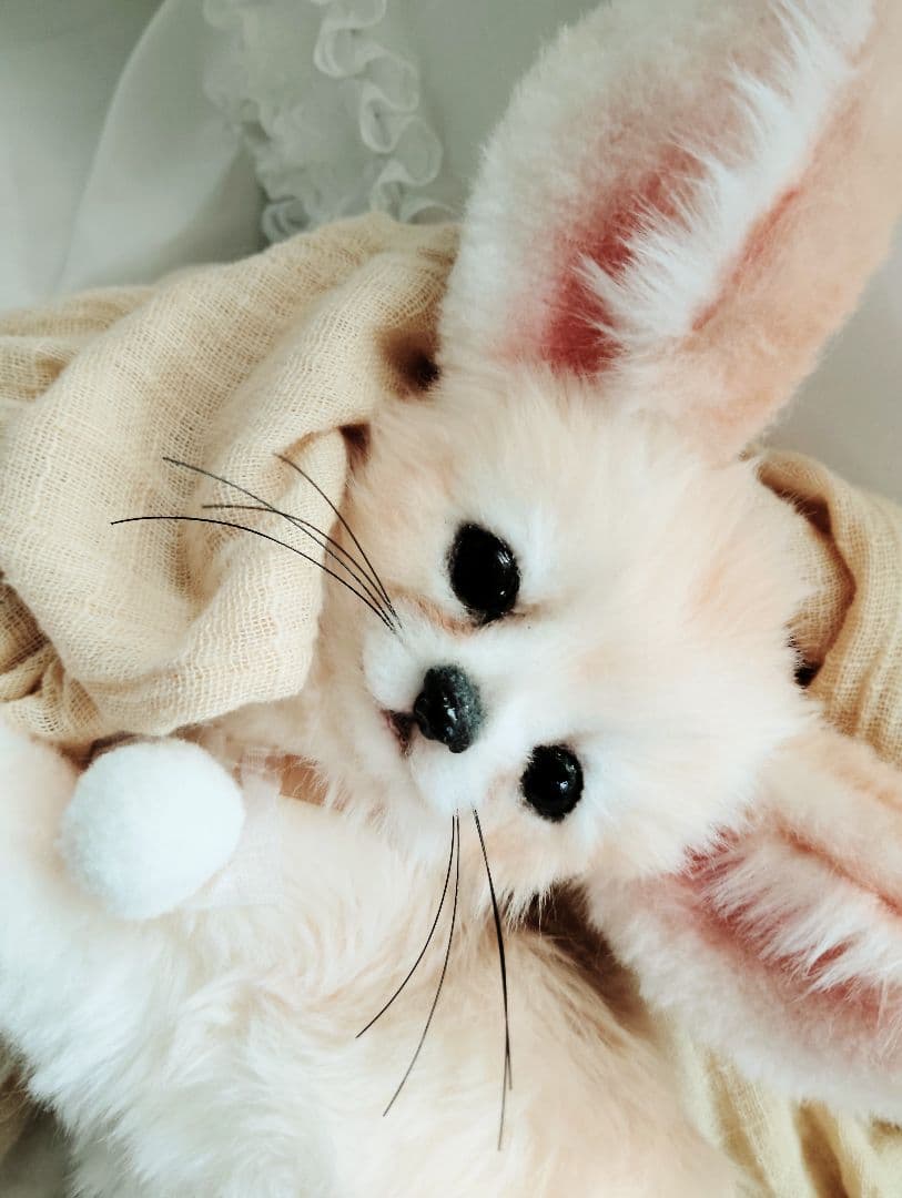 生後２ヶ月♡ベビーフェネックちゃん♡アートドール♡ぬいぐるみ♡