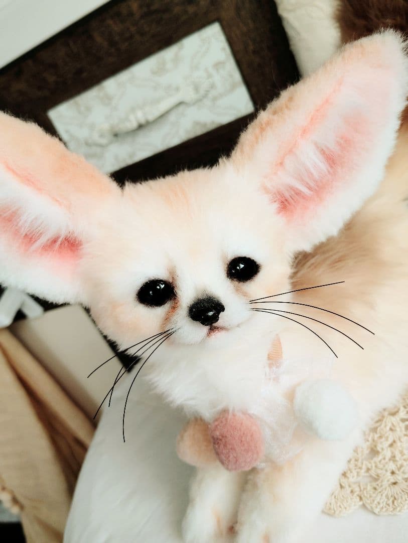 生後２ヶ月♡ベビーフェネックちゃん♡アートドール♡ぬいぐるみ♡