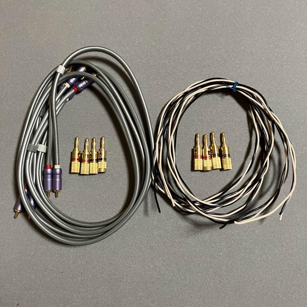 Aura Design VA-100EVⅡ プリメインアンプ