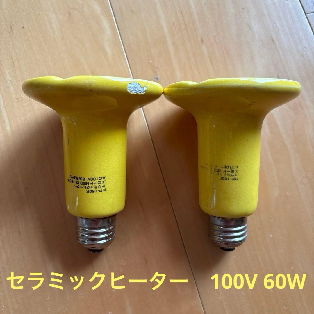 【爬虫類愛好者、初心者必見！】ソケットとライトのセット　値引き交渉可