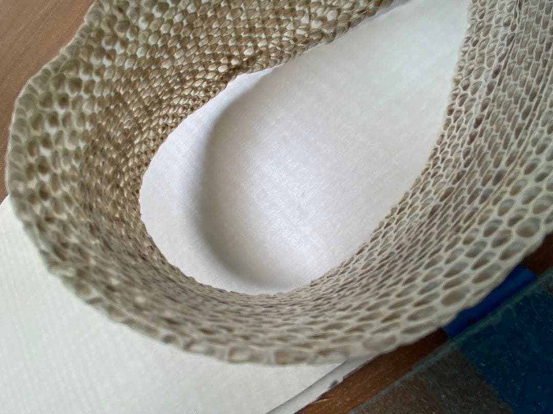 アオダイショウ抜け殻