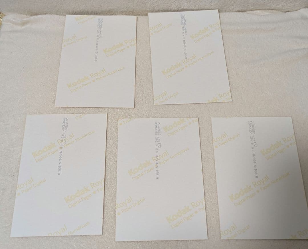 絵森彩　生写真　チャイナドレス　依田彩花