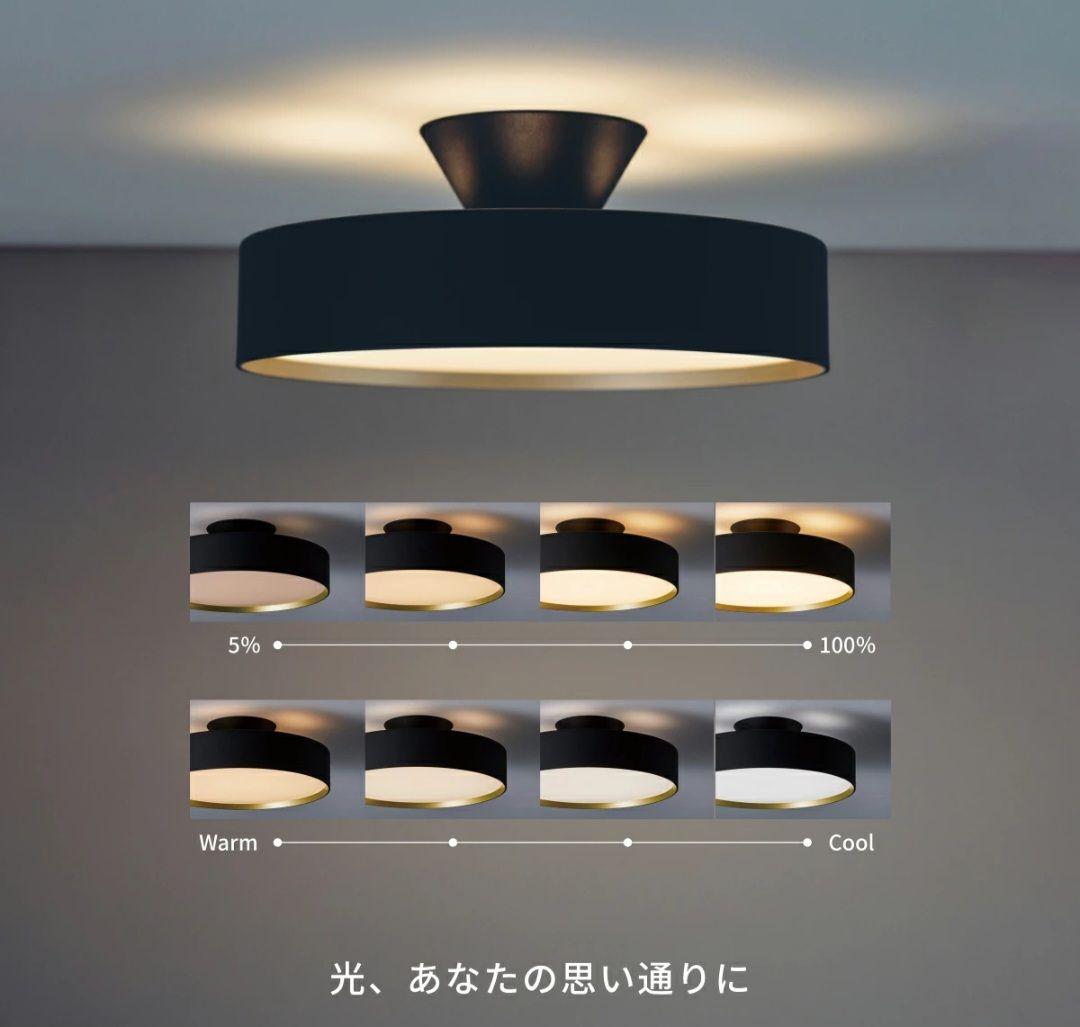 【ネスタ 】ART WORK STUDIO Glow 4000 シーリング