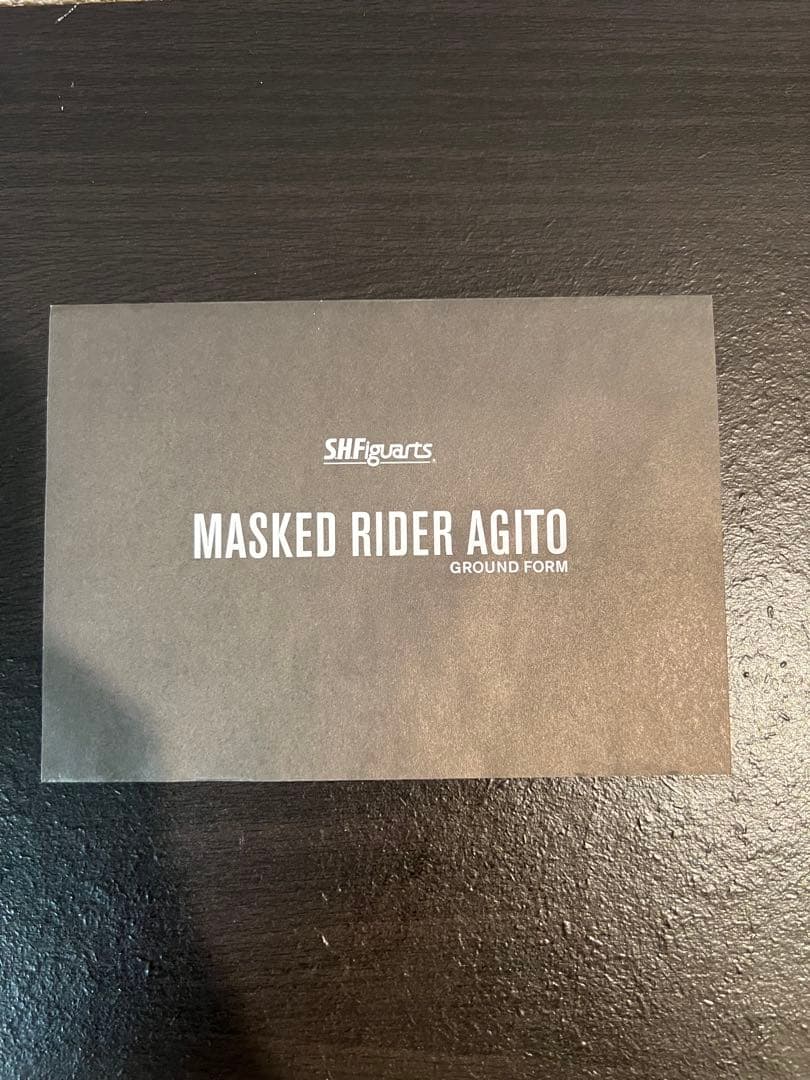 真骨彫製法 仮面ライダーアギト 美中古品 付属品完備