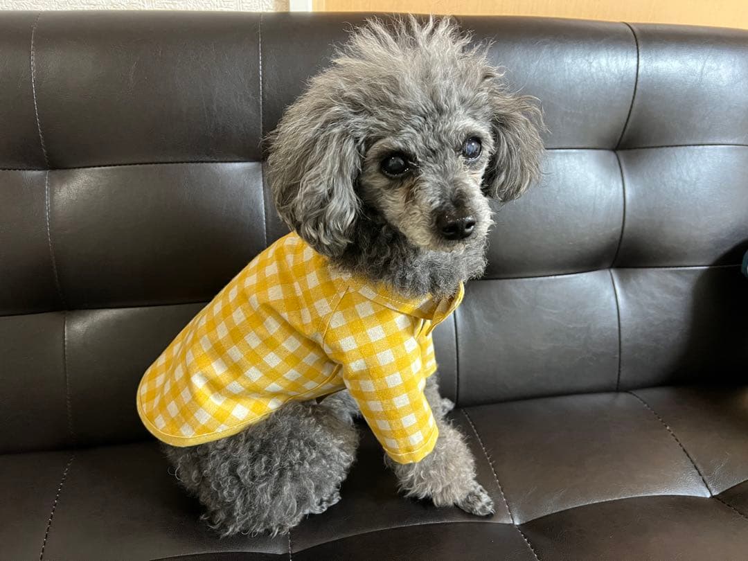 犬服・アクセサリー OINUSAMA