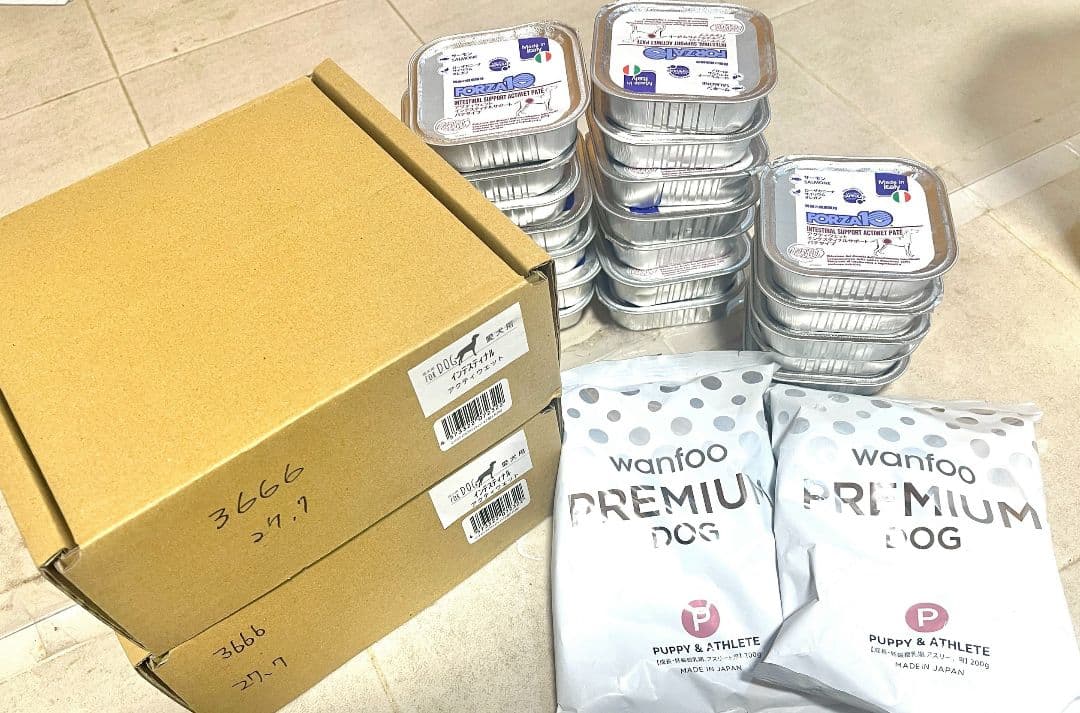 FORZA10 インテスティナルサポートアクティブパテ サーモン 100g缶