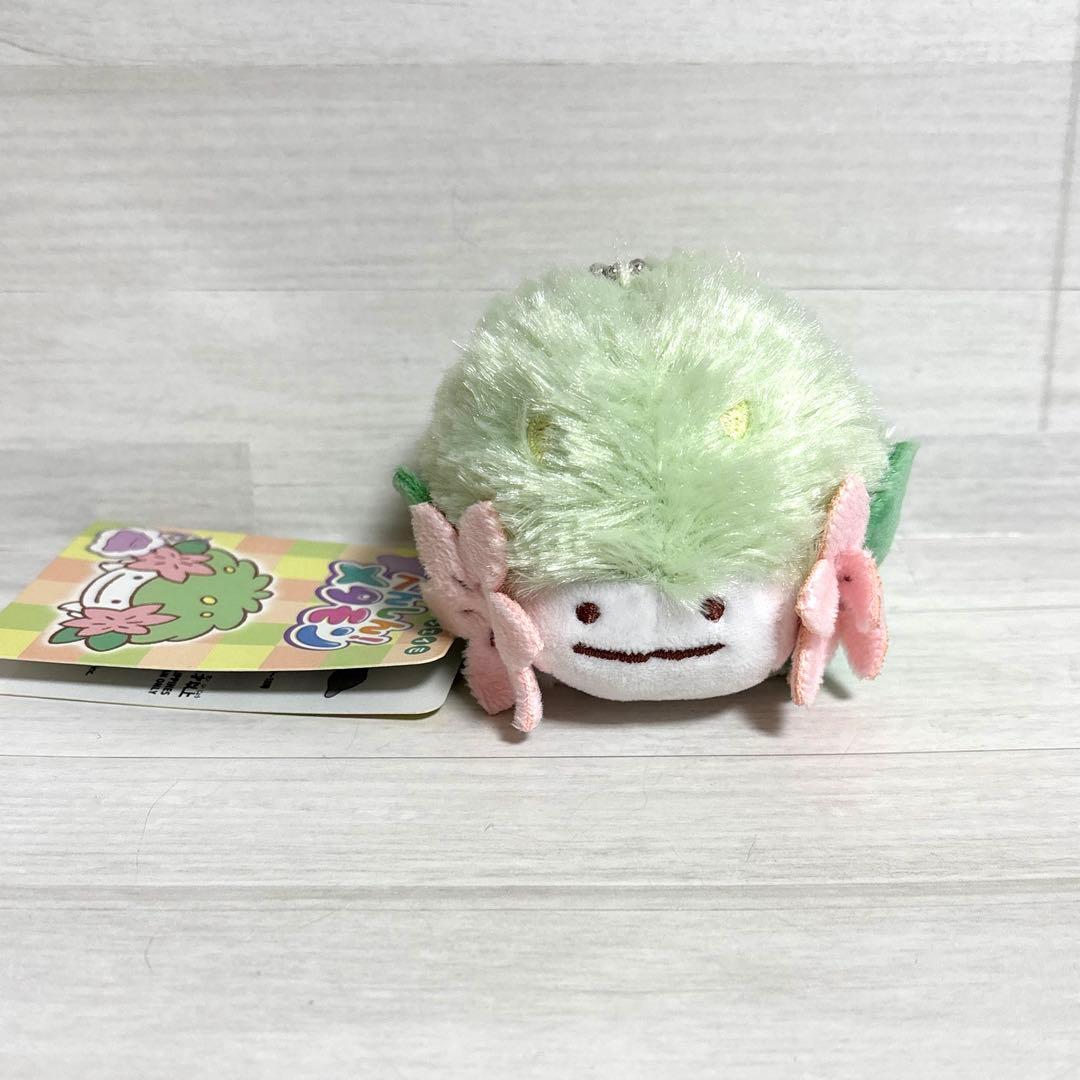 へんしんメタモン シェイミ　マスコット　ポケモンセンター