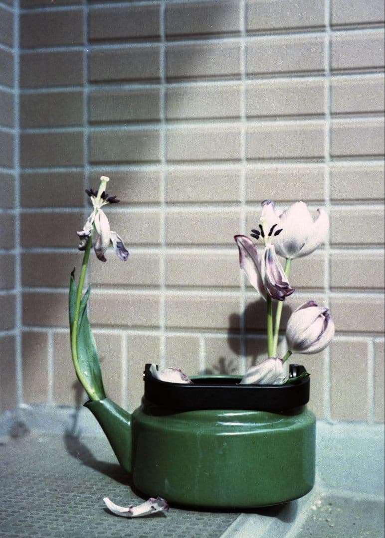 【美品】FUJI 6x9 Pro GW690III 90mm F3.5作例付