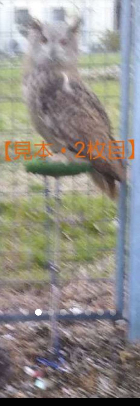 ふくろう　ファルコンステンレススパイクタイプ　お出かけ用　分解式　ハンドメイド