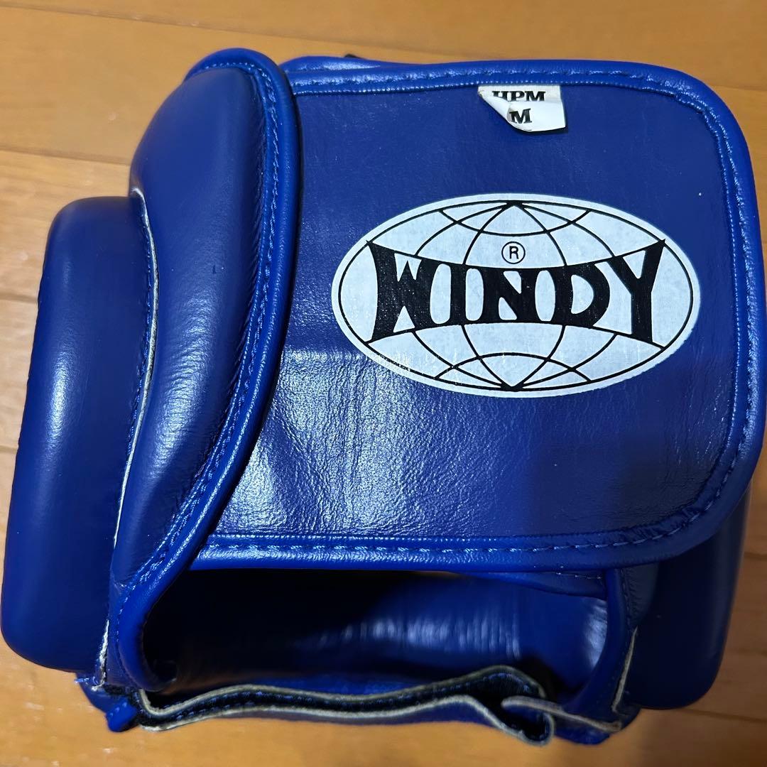 WINDY ヘッドギア M 青
