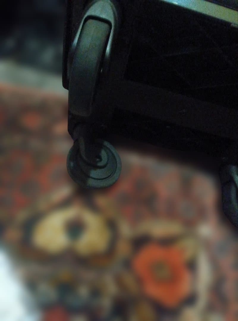 SWANY スワニー　キャリーバッグ D-589 プーフォ M21