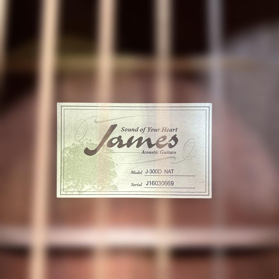 6911 アコースティックギター James ジェームス J-300D NAT