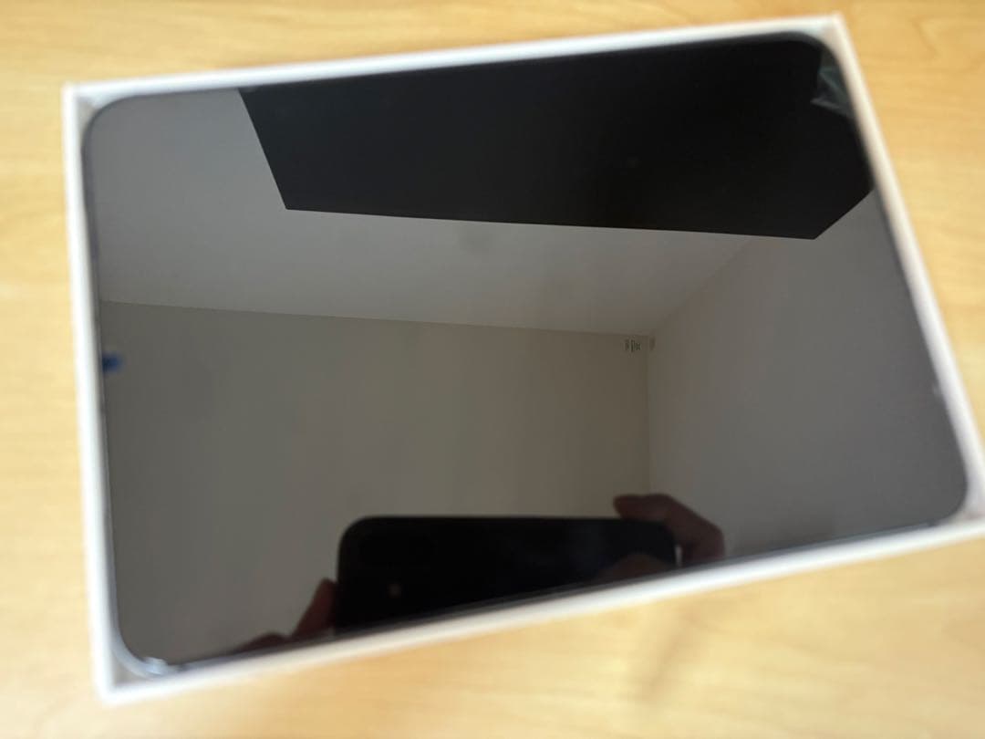 【こー】iPad mini Wi-Fi+Cellular 256GB