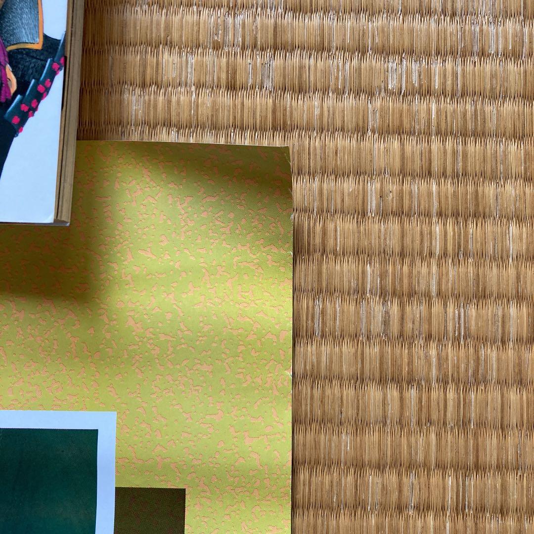 安彦良和　ガンダム　セイラ　ポスター70×50newtype昭和60,８月号付録