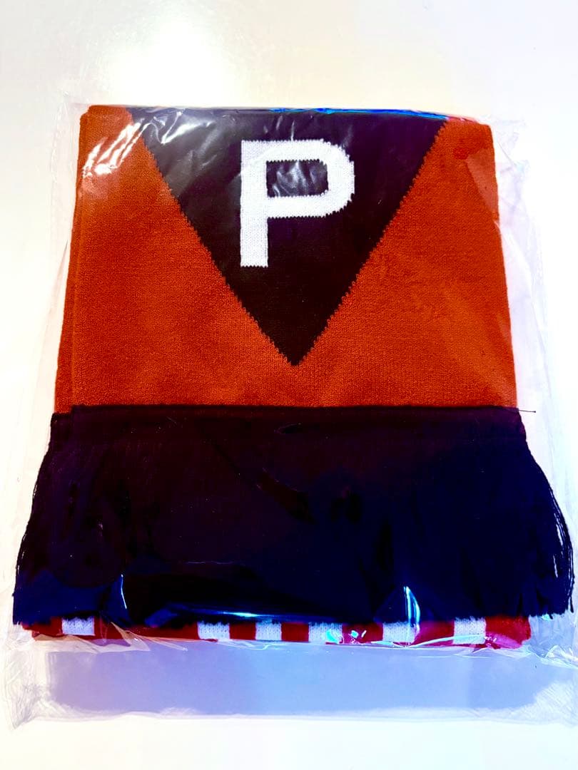 平沢進　核P-MODEL unZIP/ 非コード人のアコード　マフラー