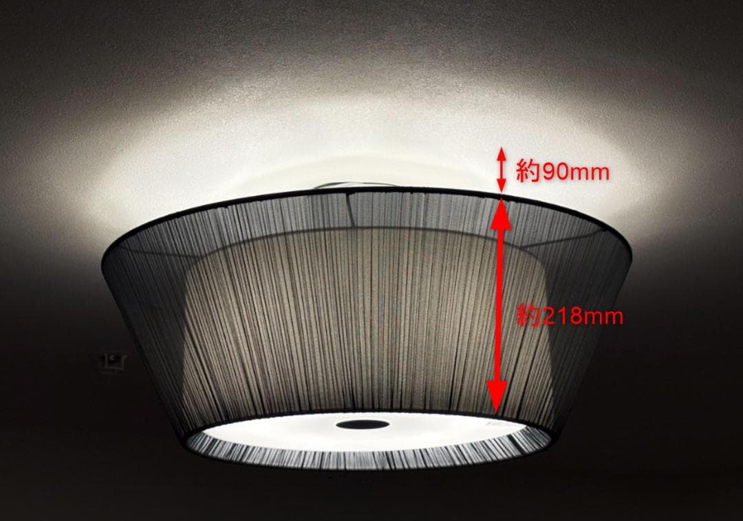 【お値下げ！訳あり】BAUMN Ⅱ／バウムⅡ／シーリングライト