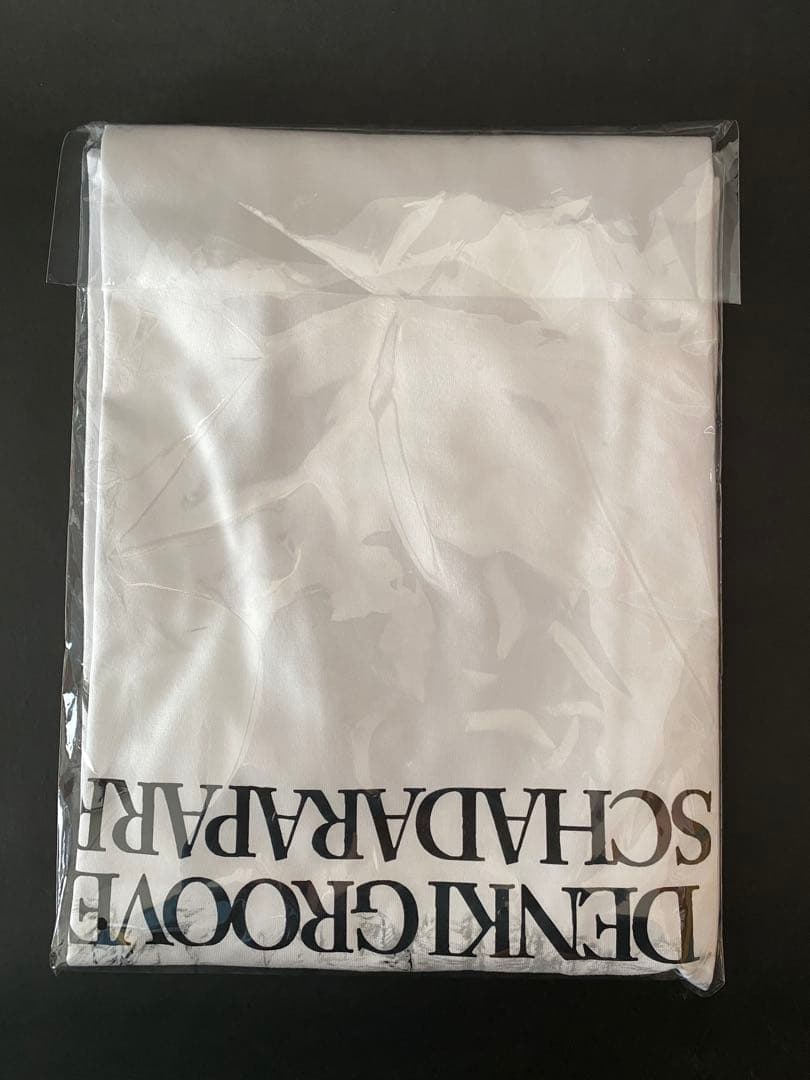 スチャダラパー　チャンピオンカーニバル　電気グルーブ　Tシャツ　XL おまけ付き