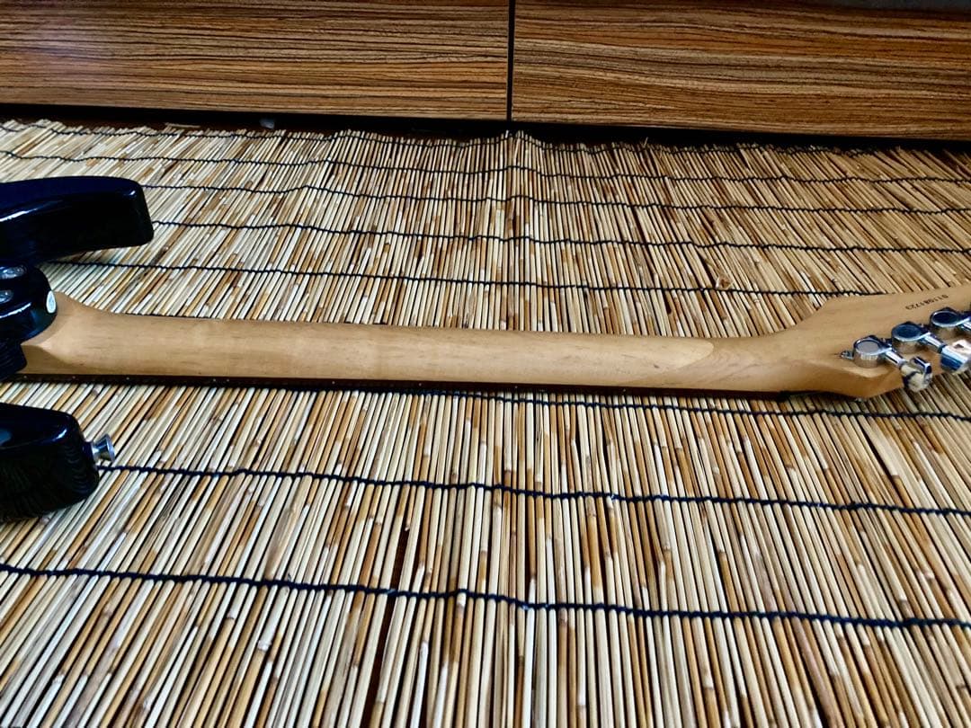 ☆大改造して新機能満載　Washburn SSH ST