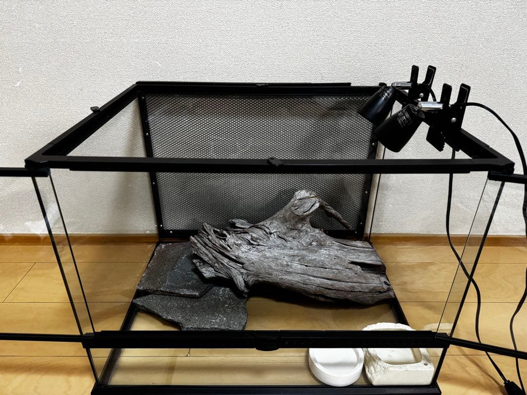 ケージ 爬虫類 トカゲ飼育セット 60 yoshimi