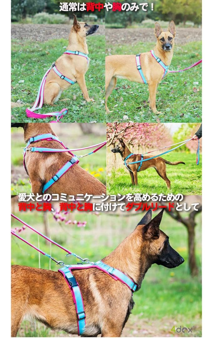 4dox コンフォートプラスハーネス【Sサイズ】