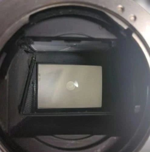 【grasshopper】Olympus OM-1