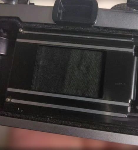 【grasshopper】Olympus OM-1