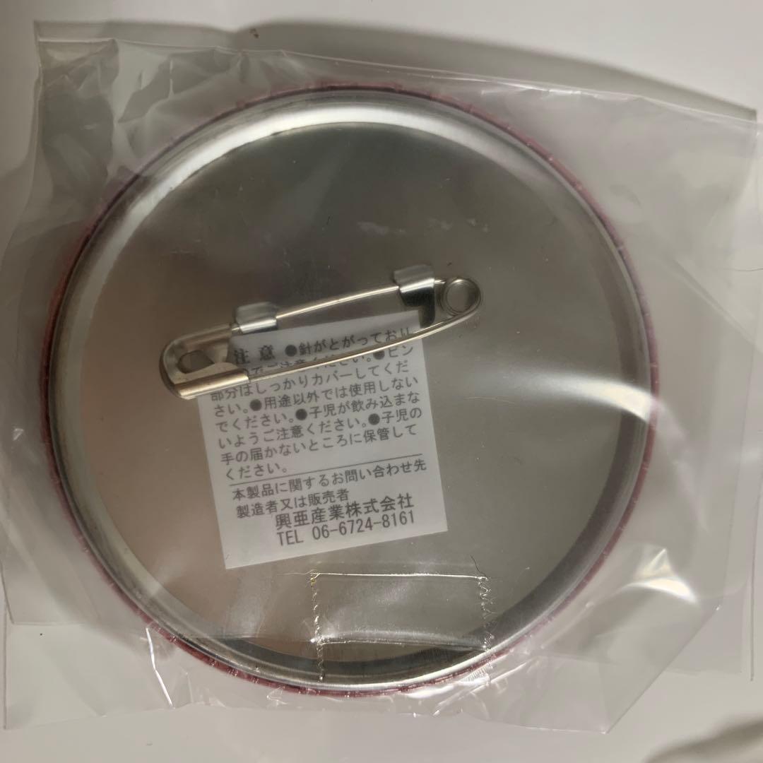 缶バッジ　セット　ナムコ・ナンジャタウン　マクロスf