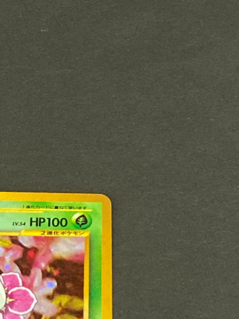 《最終値下げ》《美品》旧裏 プロモセット バクフーン　オーダイル　メガニウム