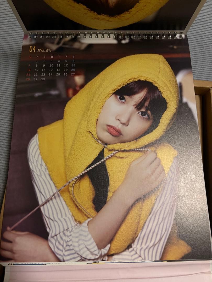 IUカレンダー セット2013 ⭐︎シーズングリーティングIU⭐︎아이유