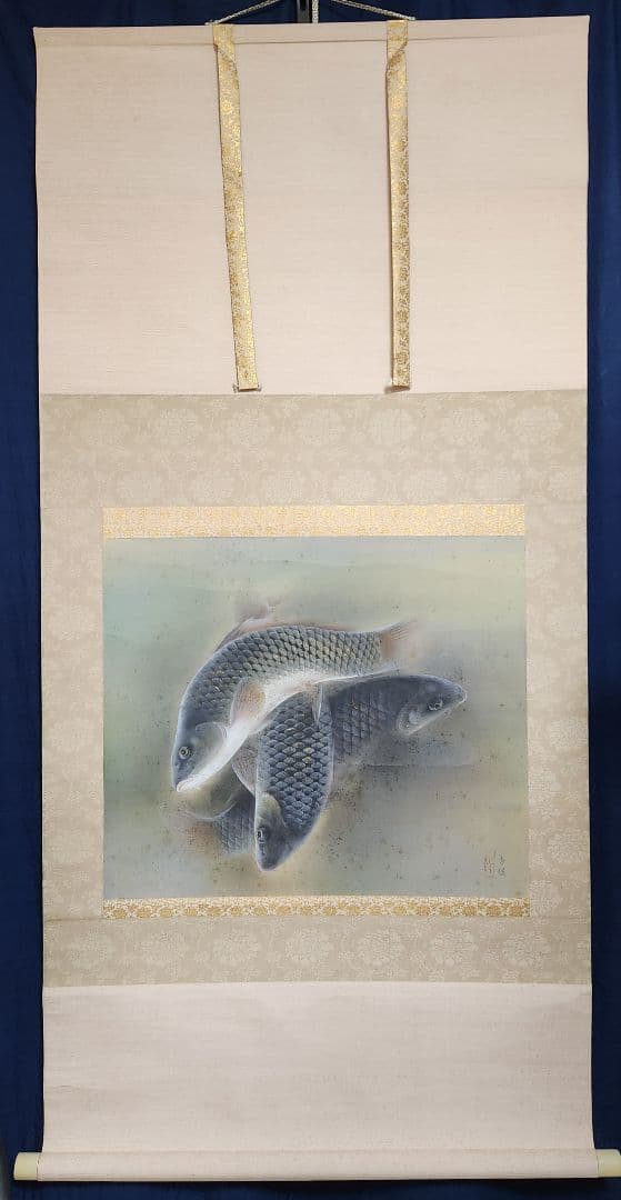 【魚紋図（群鯉)】松井香瑶 2685 共箱 掛け軸 肉筆