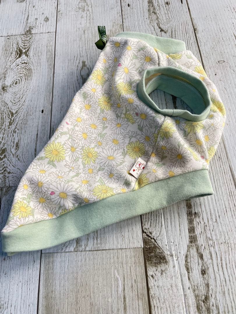 デイジー柄春カラー